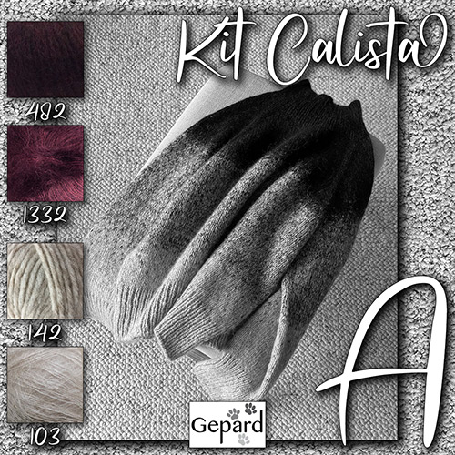 km326 Kit Calista A : Gepard