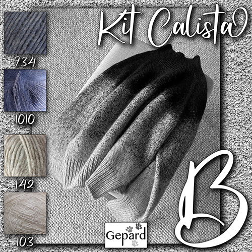 km326 Kit Calista B : Gepard