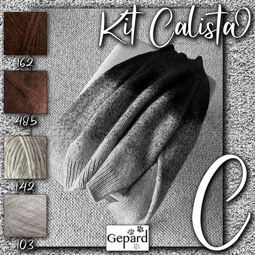 km326 Kit Calista C : Gepard