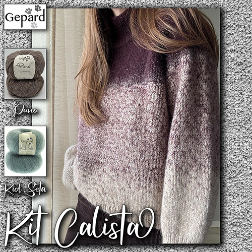 km326 Kit Calista : Gepard