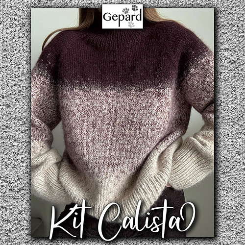 km326 Kit Calista : Gepard