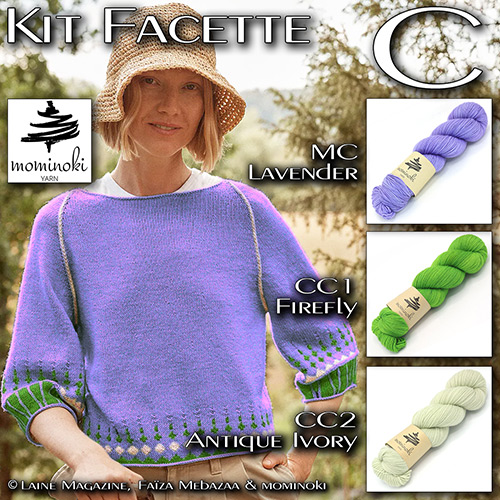 km341 Kit Facette C : Mominoki