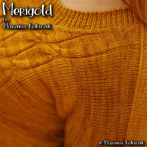 km343 Merigold by Marzena Kołaczek