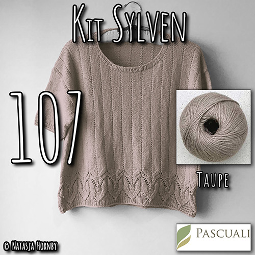 km347 Kit Sylven 107 with Pascuali