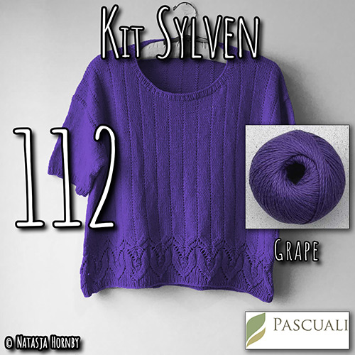 km347 Kit Sylven 112 with Pascuali