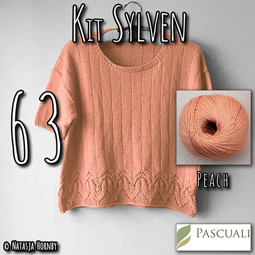 km347 Kit Sylven 63 with Pascuali