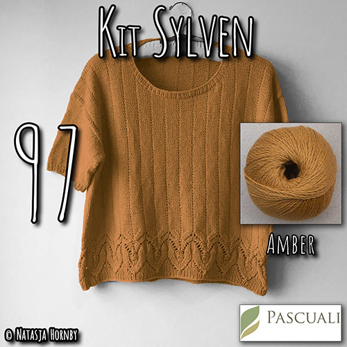 km347 Kit Sylven 97 with Pascuali