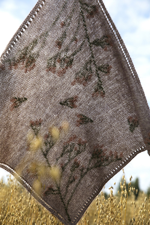 pb79: Limonium Apricot Scarf