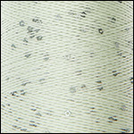 fm579-013