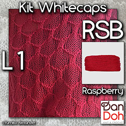 km350-k-L1-RSB