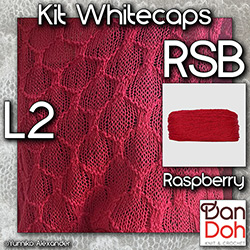 km350-k-L2-RSB